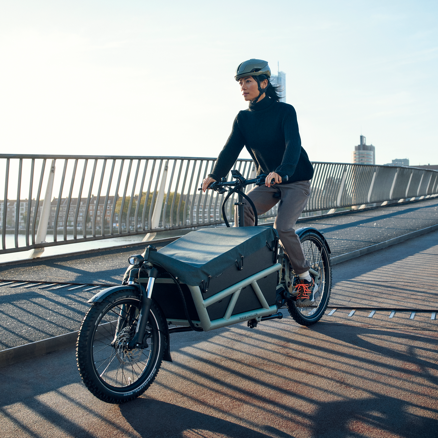 Riese & Müller | Load5 60 Touring HS (45km/T)