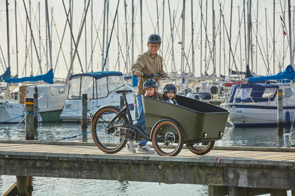 3-hjulede ladcykler