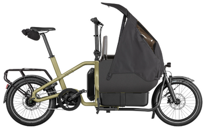 Riese & Müller | Carrie - Easy