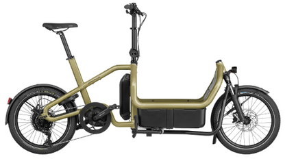 Riese & Müller | Carrie - Touring