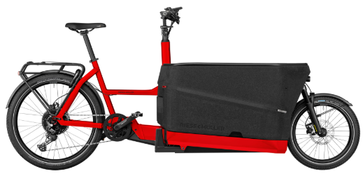 Riese & Müller | Packster2 70 Family