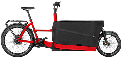 Riese & Müller | Packster2 70 - Vario