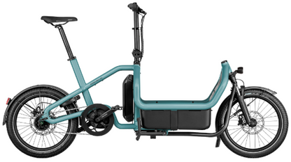 Riese & Müller | Carrie - City