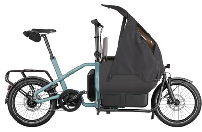 Riese & Müller | Carrie - Easy