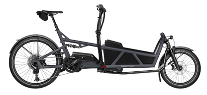 Riese & Müller Load5 60 touring