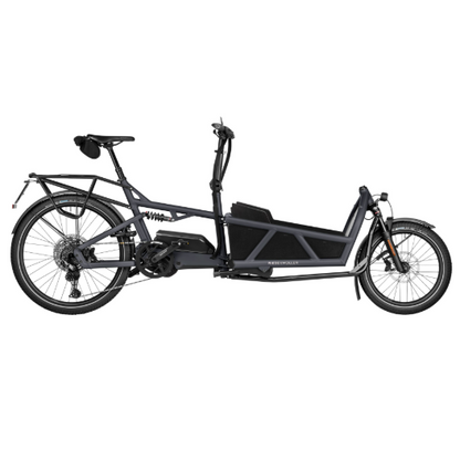 Riese & Müller | Load5 60 Touring HS (45km/T)