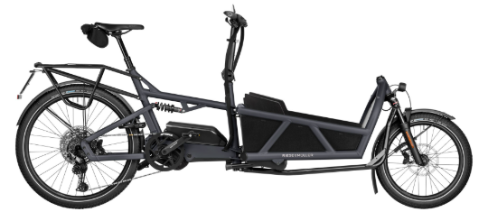 Riese & Müller Load5 60 Touring HS (45km/T)