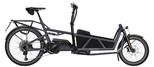 Riese & Müller Load5 60 Touring HS (45km/T)