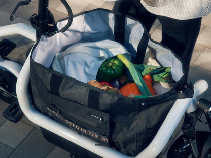 Riese & Müller | Carrie - Touring