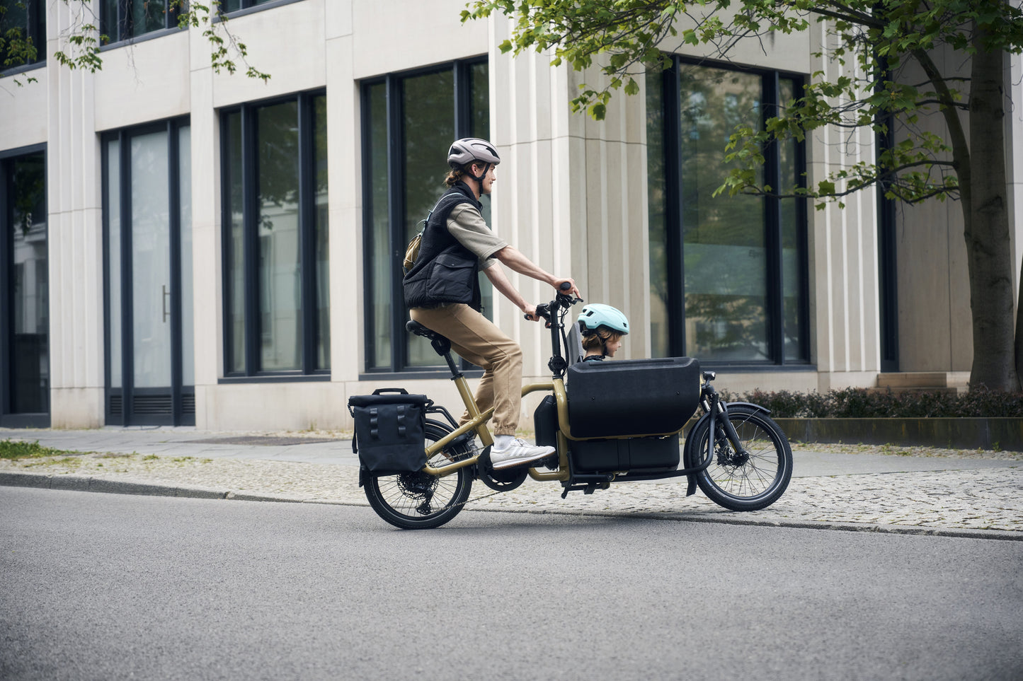 Riese & Müller | Carrie - Touring