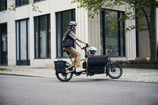 Riese & Müller | Carrie - City