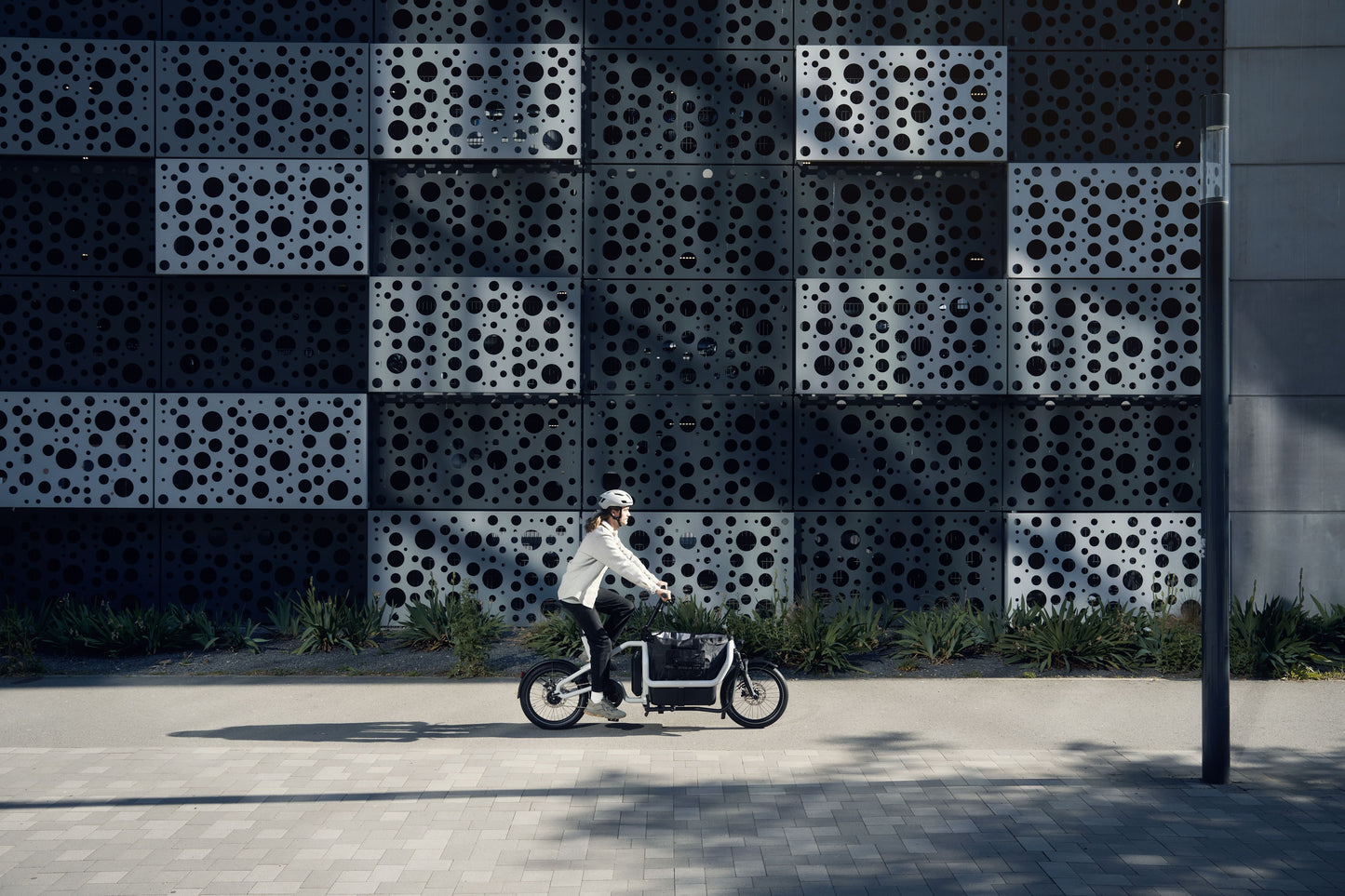 Riese & Müller | Carrie - Touring