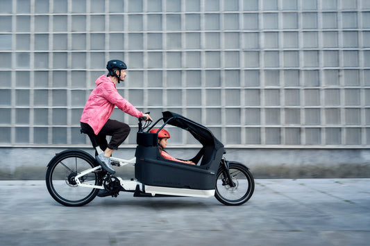 Riese & Müller | Packster2 70 - Touring