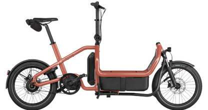 Riese & Müller | Carrie2 - Vario