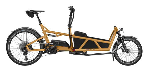 Riese & Müller Load5 60 touring