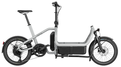 Riese & Müller | Carrie - Touring