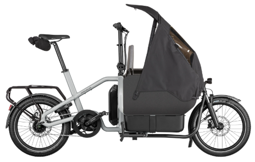 Riese & Müller | Carrie - Easy