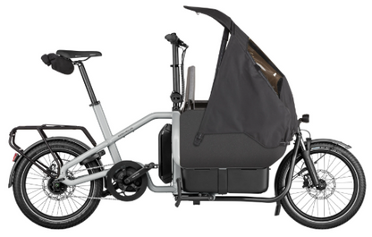 Riese & Müller | Carrie - Easy