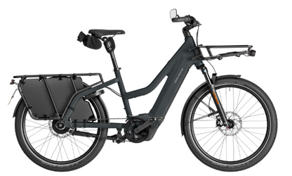 Riese & Müller | Multicharger3 Mixte - Vario HS (45 km/T)