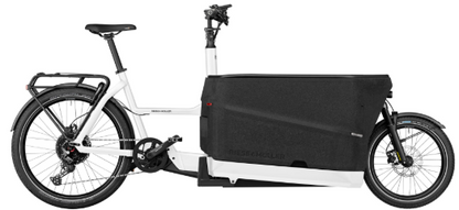 Riese & Müller | Packster2 70 Family