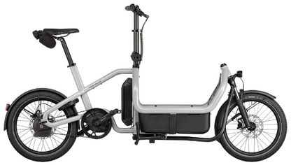 Riese & Müller | Carrie2 - Automatic