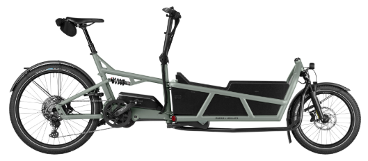 Riese & Müller Load5 75 touring