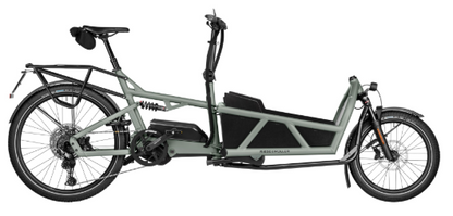 Riese & Müller Load5 60 Touring HS (45km/T)