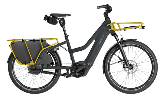 Riese & Müller | Multicharger3 Mixte - Automatic