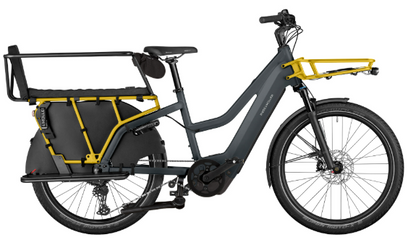 Riese & Müller | Multicharger3 Mixte - Family