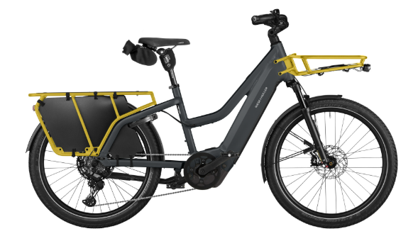 Riese & Müller | Multicharger3 Mixte - Touring HS (45 km/T)