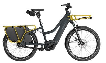 Riese & Müller | Multicharger3 Mixte - Vario