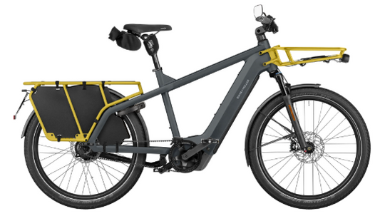 Riese & Müller | Multicharger3 - Rohloff HS (45 km/T)