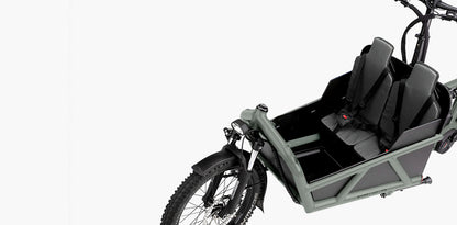 Riese & Müller Load4 75 Rohloff HS