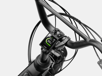 Cannondale Cargowagen Neo 1