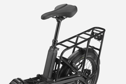 Cannondale Wonderwagen Neo 1