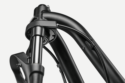 Cannondale Wonderwagen Neo 1