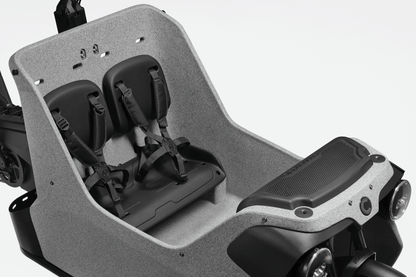 Cannondale Wonderwagen Neo 1