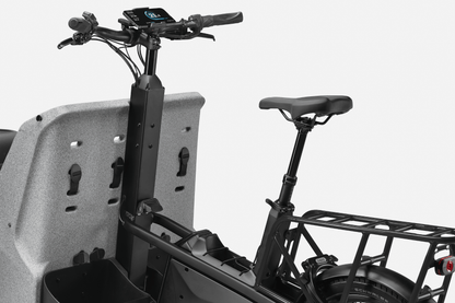 Cannondale Wonderwagen Neo 1