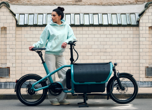 Riese & Müller | Carrie - Vario