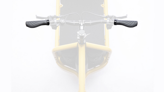 eBullitt Grips