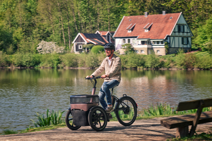 vanRaam | Thuja