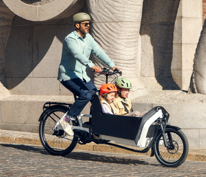 Riese & Müller | Transporter2 65 - Vario