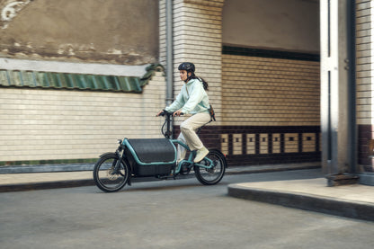 Riese & Müller | Carrie - Touring