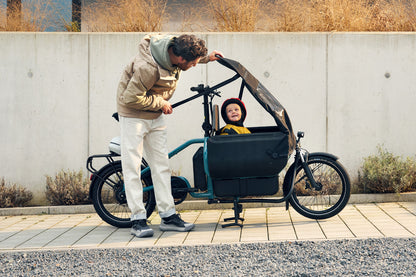 Riese & Müller | Carrie - Touring