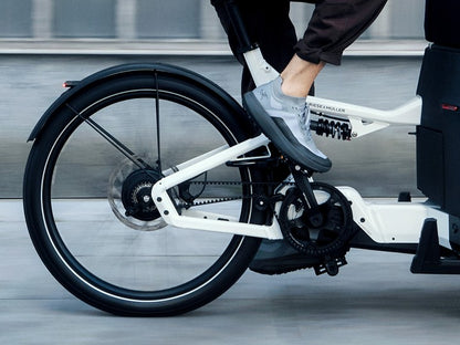 Riese & Müller | Packster2 70 CT - Touring