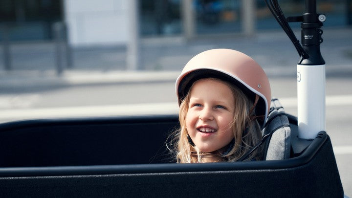 Riese & Müller | Packster2 70 - Touring