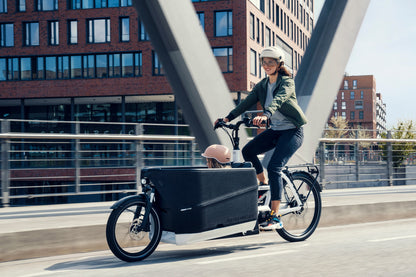 Riese & Müller | Packster2 70 - Touring