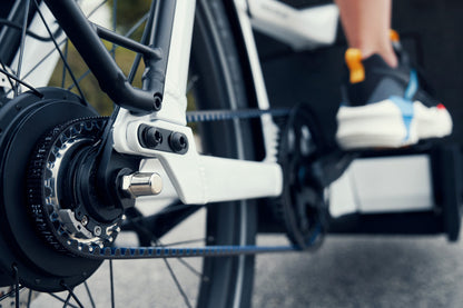 Riese & Müller | Packster2 70 - Touring