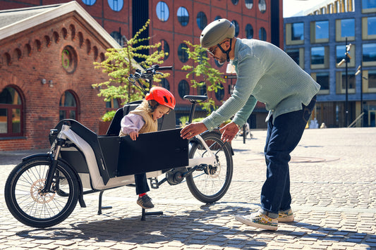 Riese & Müller | Transporter2 65 - Touring