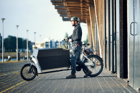 Riese & Müller | Transporter2 85 - Vario